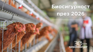 5 неща за биосигурността в птицефермата през 2026 г., които можете да приложите още днес 
