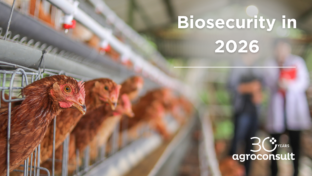 5 Poultry farm biosecurity measures for 2026 that you can implement today 